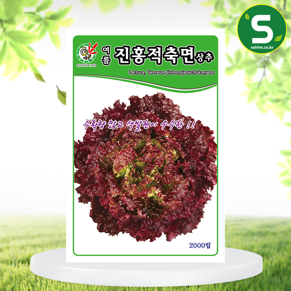 상추씨앗 여름진홍적축면상추 2000립 상품성 우수