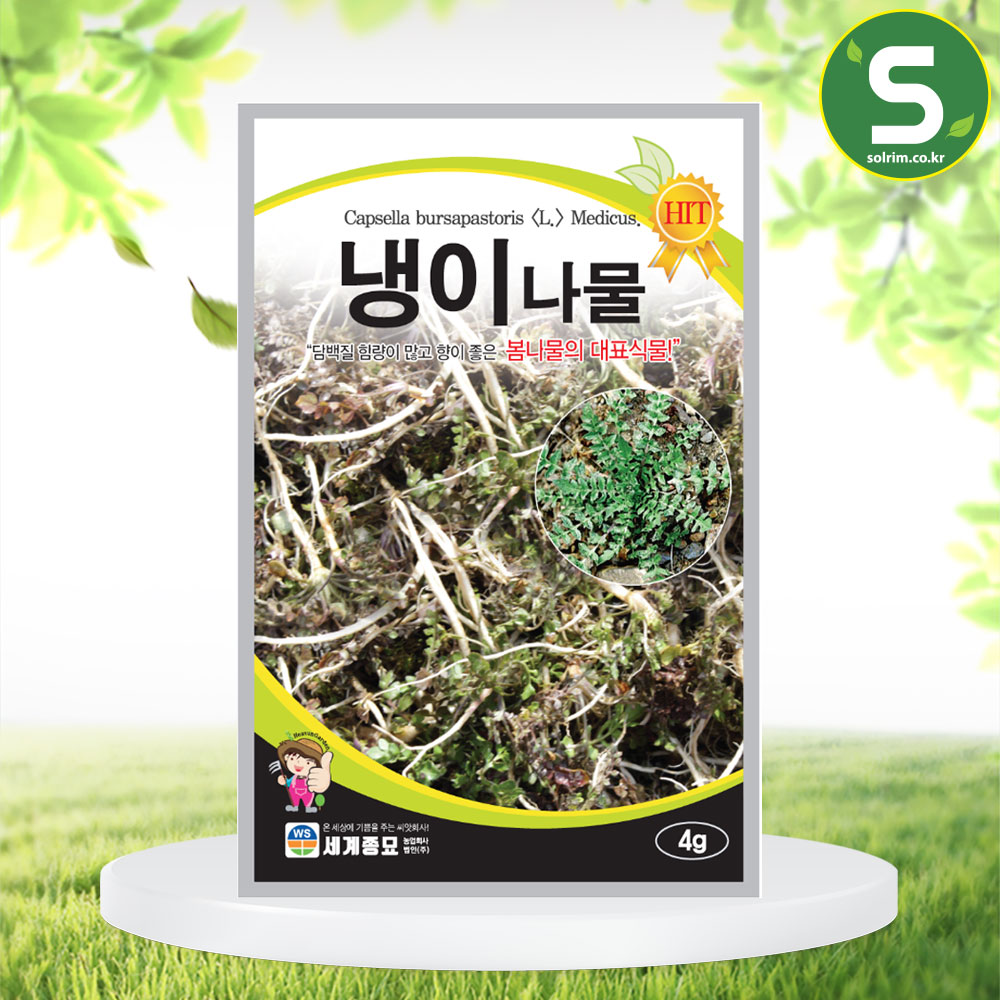 냉이 4g 나물 씨앗 봄나물 대표식물 담백질 함량